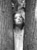 thumbnail black & white photo of a girl looking out between two trees as shot by James Ritzman