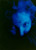 thumbnail closeup of a girl wearing a black shirt under a blue light