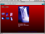 Infrascapes.com web site