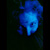 girl lit with blue light