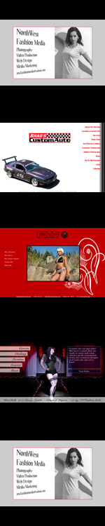 Web design & development example screenshots