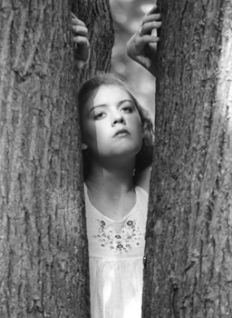 of the trees